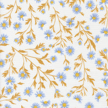 Load image into Gallery viewer, Sun Drenched Charm Pack 43200PP MODA