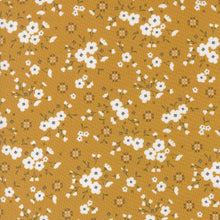 Load image into Gallery viewer, Sun Drenched Charm Pack 43200PP MODA