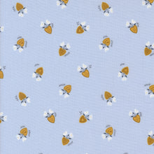 Load image into Gallery viewer, Sun Drenched Charm Pack 43200PP MODA