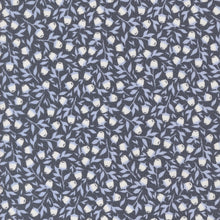 Load image into Gallery viewer, Sun Drenched Charm Pack 43200PP MODA