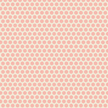 Load image into Gallery viewer, Anna by Edyta Sitar of Laundry Basket Quilts - Fat Quarter Bundle 24 Pieces