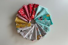 Load image into Gallery viewer, Furry and Bright - Fat Quarter Bundle - 18 pieces