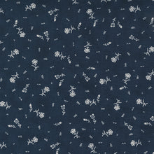 Load image into Gallery viewer, Starlight Gatherings Jelly Roll by Primitive Gatherings